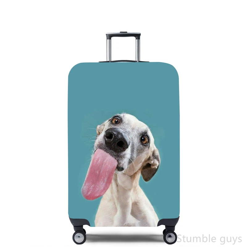 Stretchy Luggage Cover Protect - Travel Accessories Needed review and price