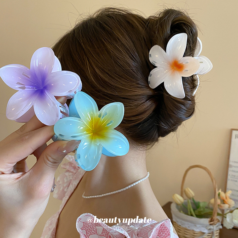 Crystal Flower Acrylic Hair Cl - Travel Accessories Hong Kong review and price