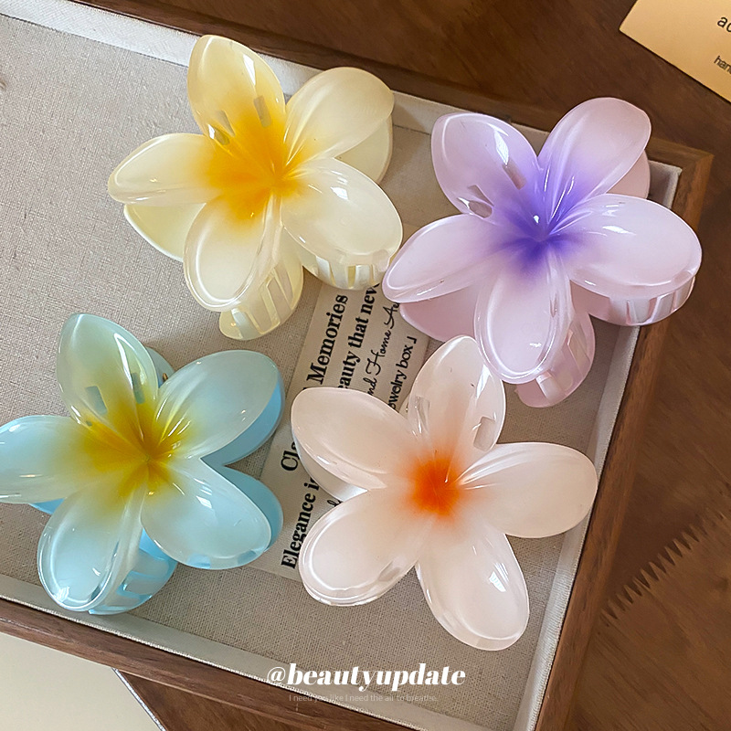 Crystal Flower Acrylic Hair Cl - Travel Accessories Hong Kong review and price