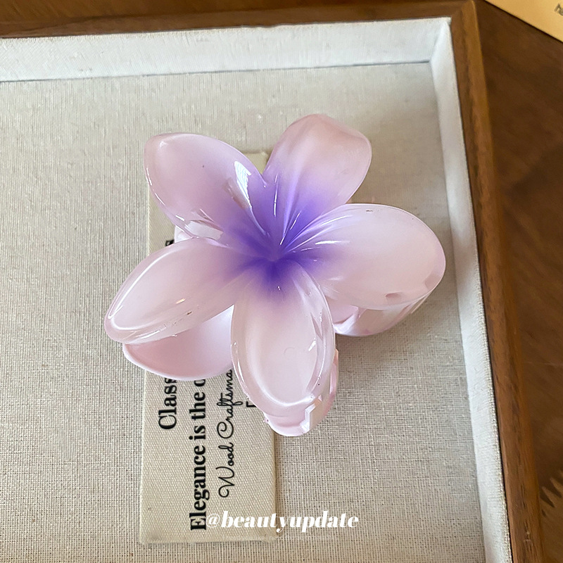 Crystal Flower Acrylic Hair Cl - Travel Accessories Hong Kong review and price