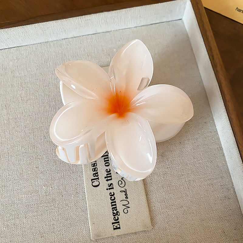 Crystal Flower Acrylic Hair Cl - Travel Accessories Hong Kong review and price