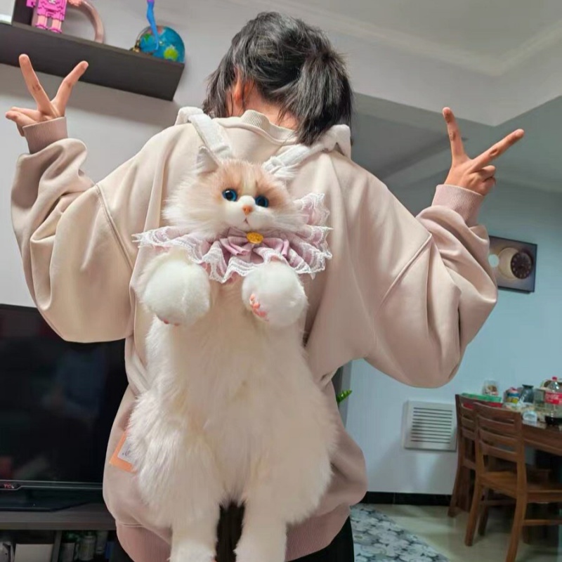 2026 New In Stock Ragdoll Cat  - Travel Accessories Gift Ideas review and price