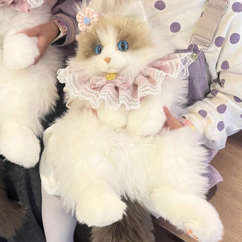 2026 New In Stock Ragdoll Cat  - Travel Accessories Gift Ideas review and price