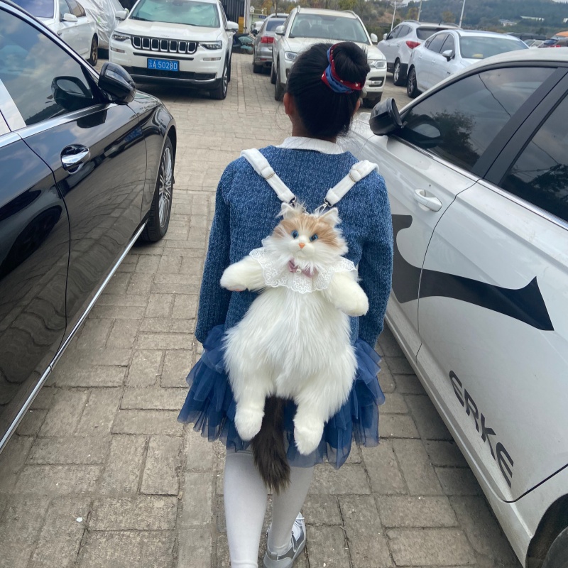 2026 New In Stock Ragdoll Cat  - Travel Accessories Gift Ideas review and price
